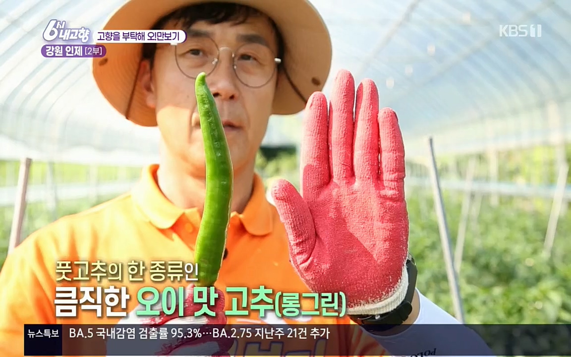 6시 내고향.E7602.220824p.H264-F1RST.mp4_20220825_171309.096.jpg