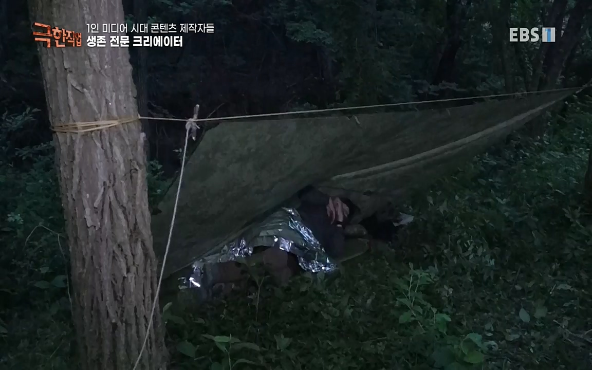 TV - 교육의 중심 EBS1인 미디어 시대 콘텐츠 제작자들.mp4_20220912_152910.267.jpg