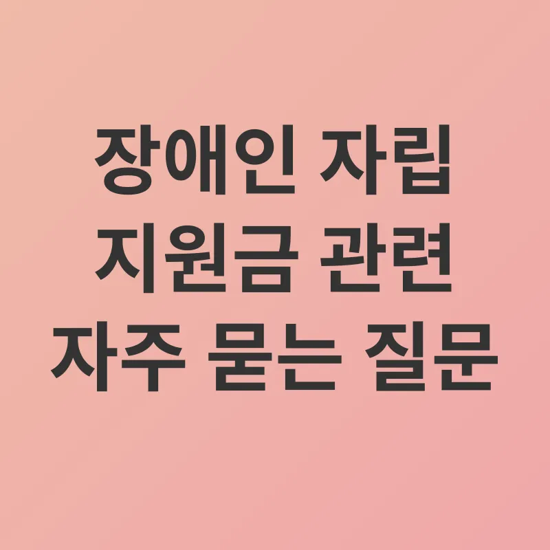 장애인 자립 지원금_4