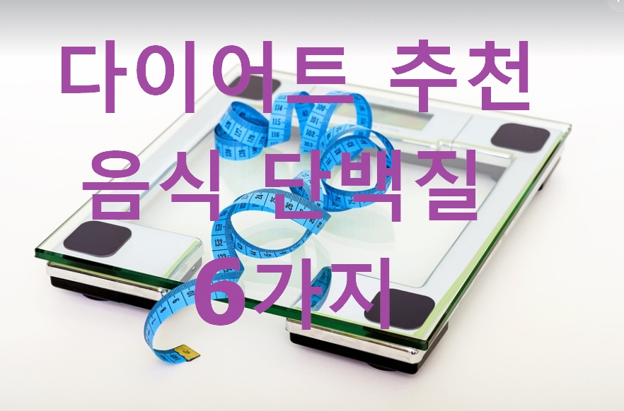 다이어트 추천 음식 단백질 6