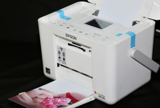 엡손 L1110 잉크패드 리셋 방법