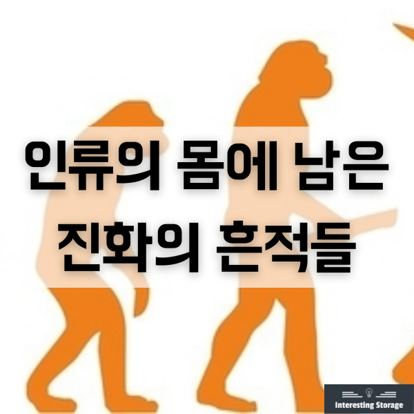  인류의 몸에 남은 10가지 진화의 흔적들
