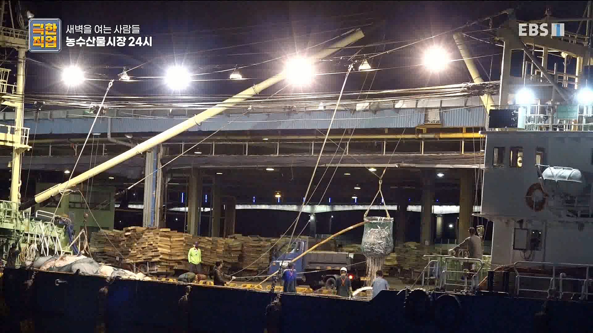 농수산물 시장 24시.mp4_20221020_161646.411.jpg