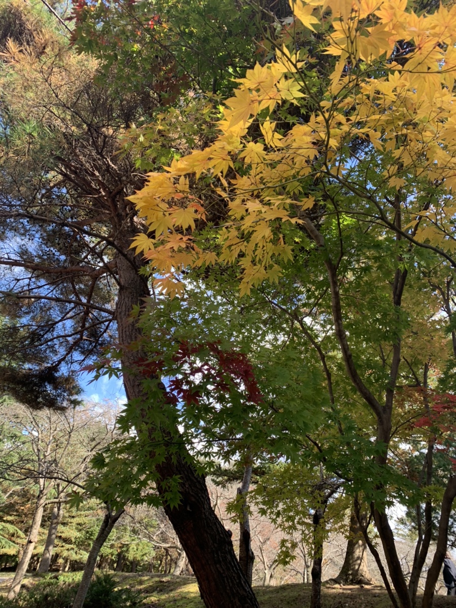 / 애플카 플레이어 쏘카 캐스퍼 시승기 13