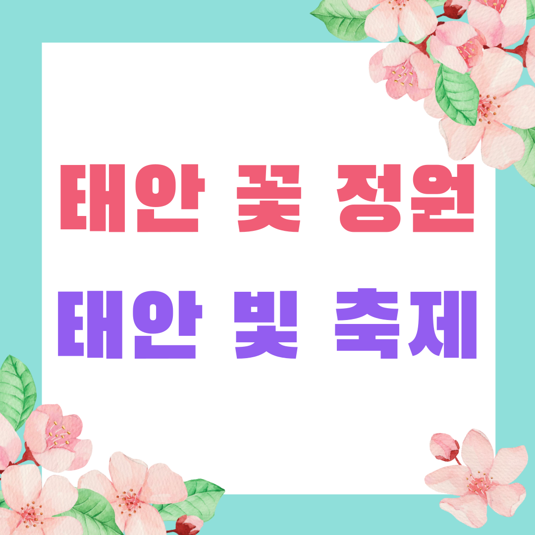태안 꽃 정원, 태안 빛 축제