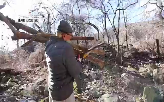 [3회] 자연의 철학자들 - KBS새처럼 살고 싶어라] 자연이라는 위대한 법당에서 숲의 울림, 새들의 소리를 들으며 깨달음을 얻은 도연 스님.ts_20220320_153608.713.jpg