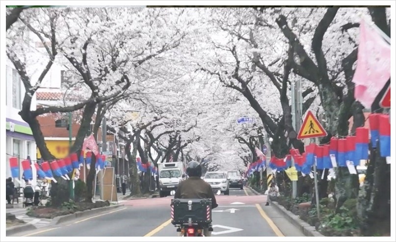 나 혼자 산다 정재광 누구? 키 나이 프로필 :걷기의 괴물과 빈티지 감성의 하루