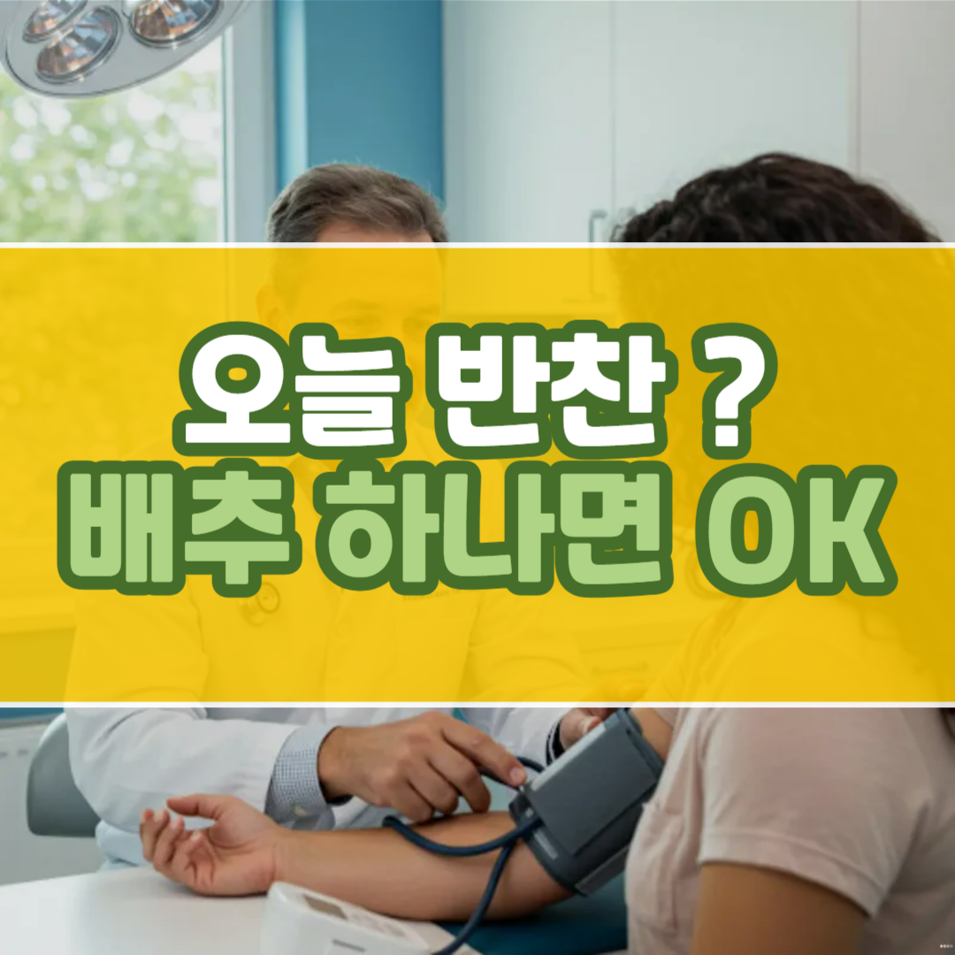 배추요리