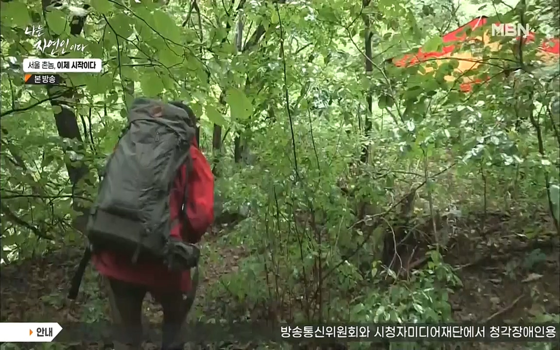 나는 자연인이다.E521.220928.H265p-BULDU.mp4_20220930_210327.123.jpg