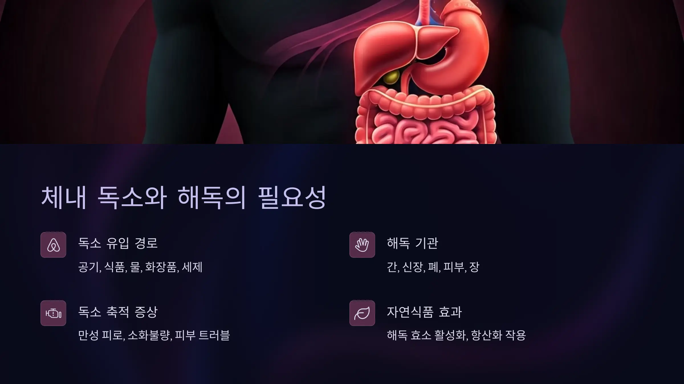 체내 독소란 무엇이며 왜 해독이 필요한가?