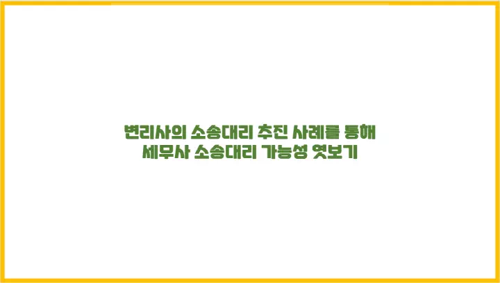 변리사의 소송대리 추진 사례를 통해 세무사 소송대리 가능성 엿보기