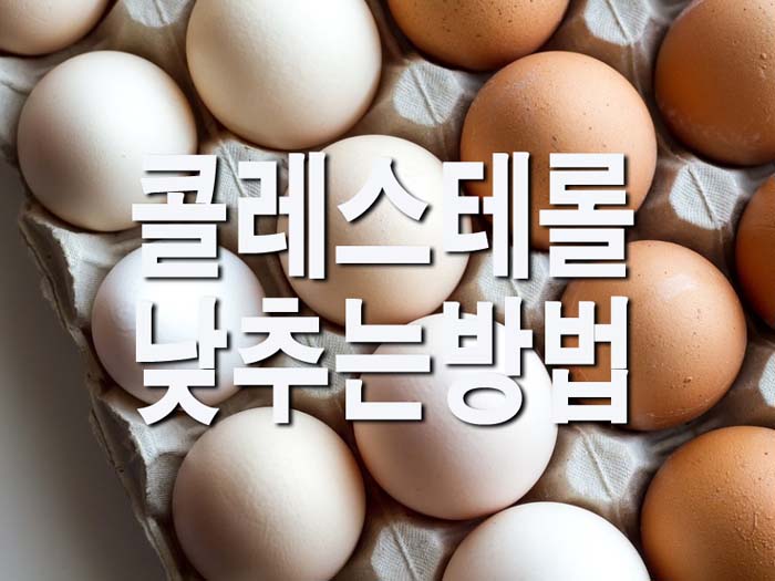  콜레스테롤 낮추는 방법