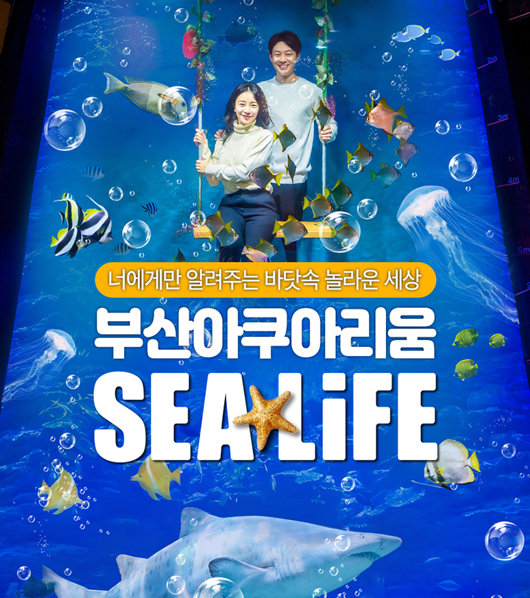  부산여행// 부산의 인기여행지 씨라이프 부산아쿠아리움