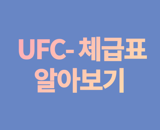  UFC 체급표 알아보기(2021)