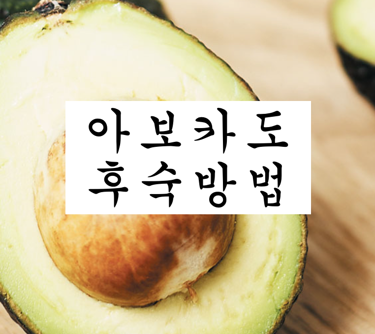  아보카도 효능 및 후숙방법