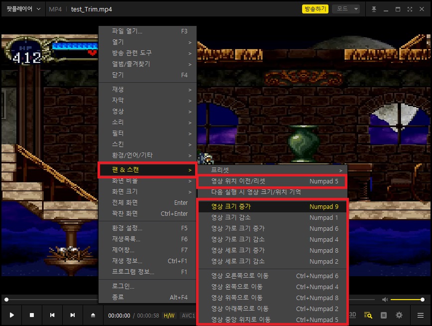 팟플레이어 특정 부분 확대