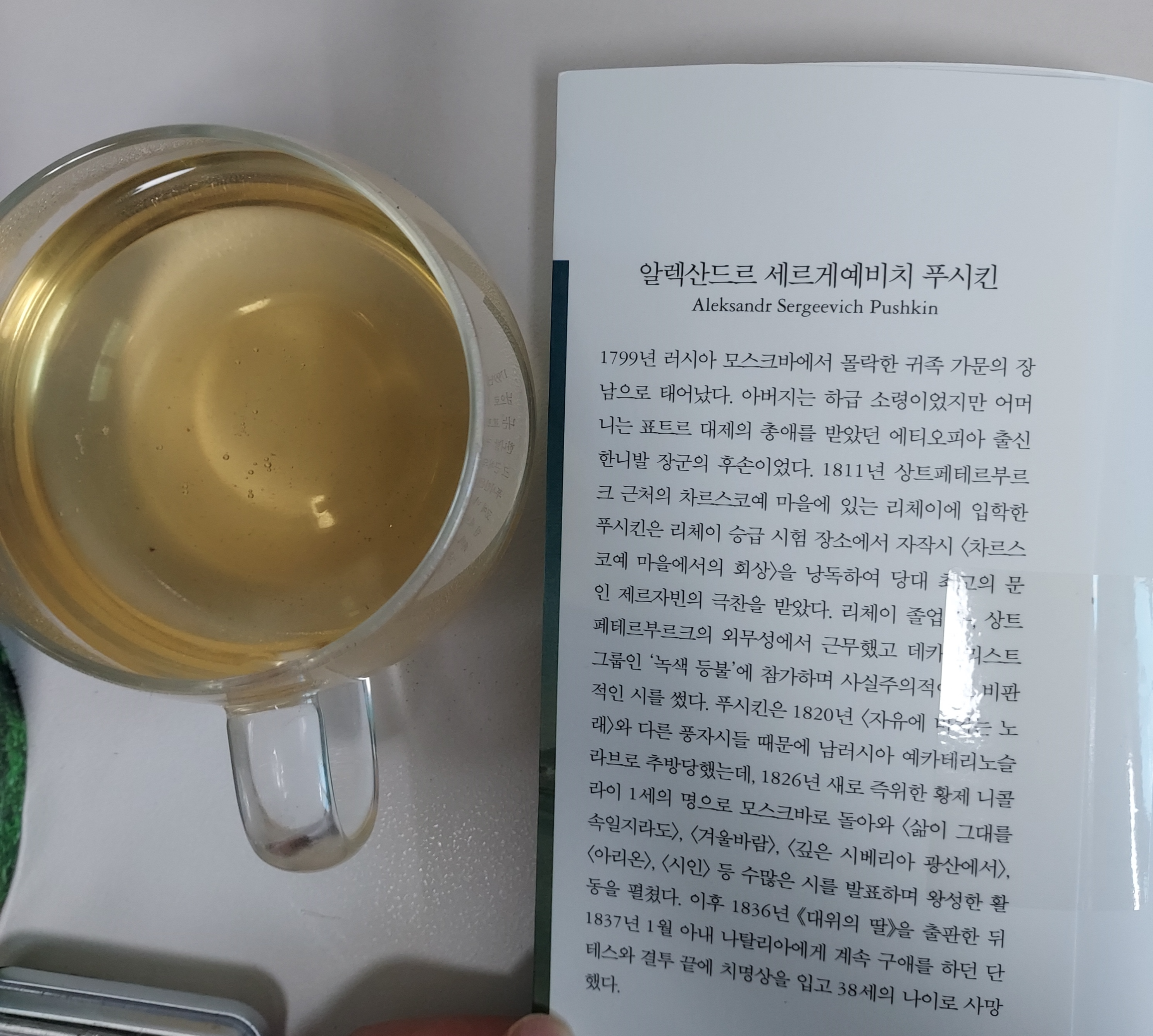 삶이 그대를 속일지라도