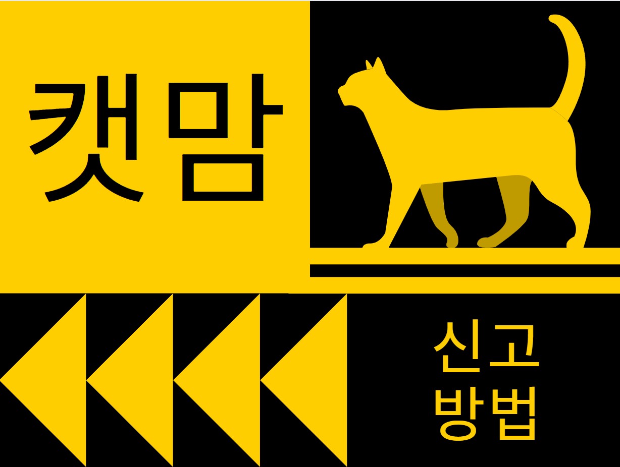캣맘-신고-방법