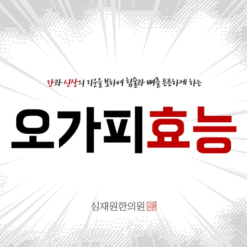  오가피 효능 기력을 보강하자