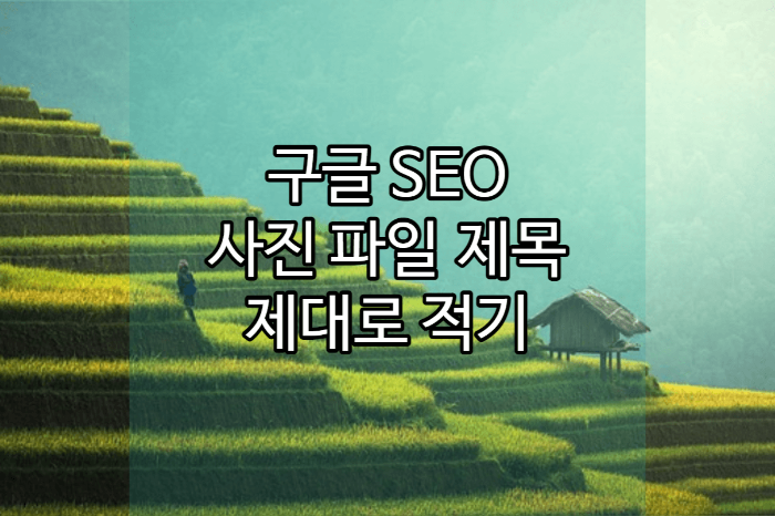 사진-파일명-title tag의-중요성-설명