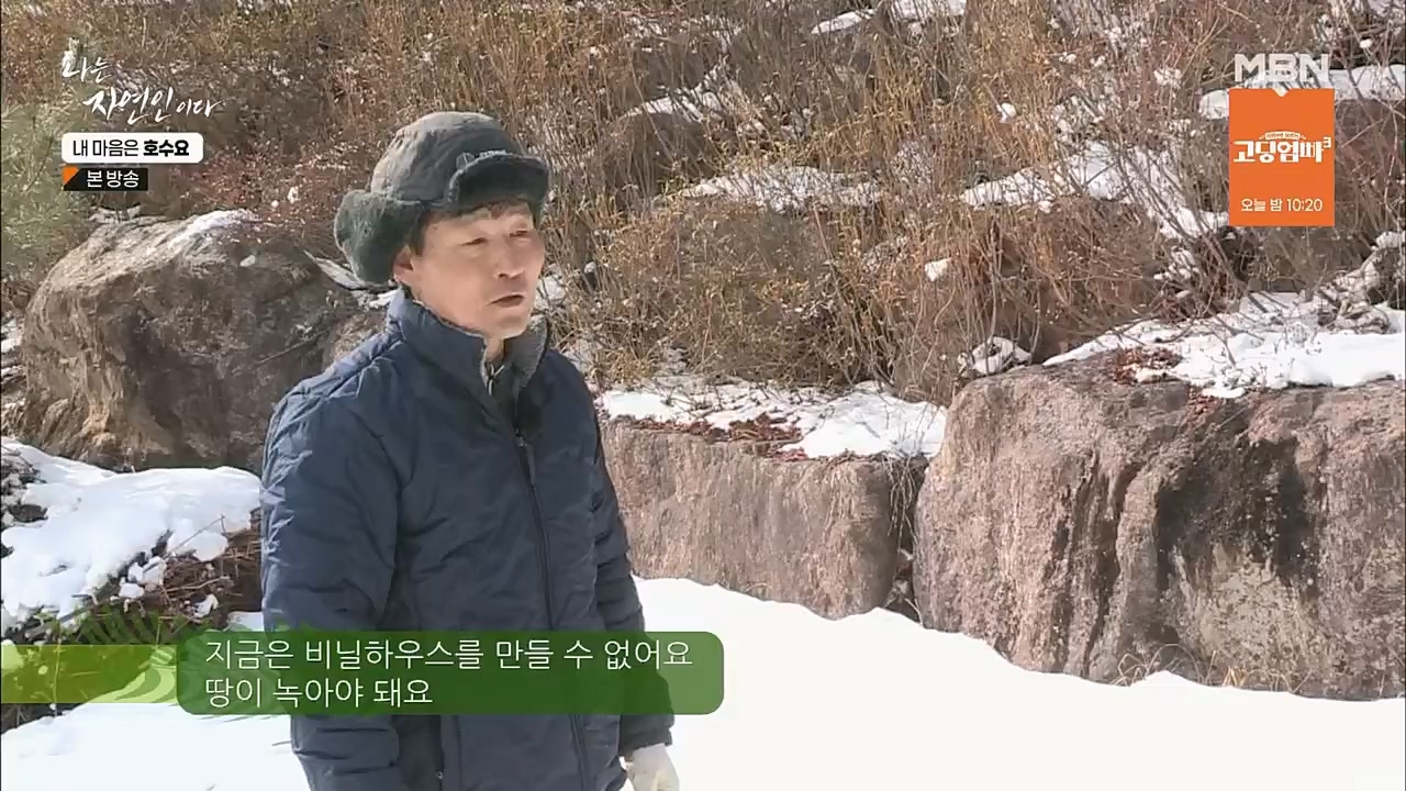 나는 자연인이다.E540.230209p.H264-F1RST.mp4_20230209_203737.576.jpg