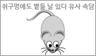 볕들 이미지