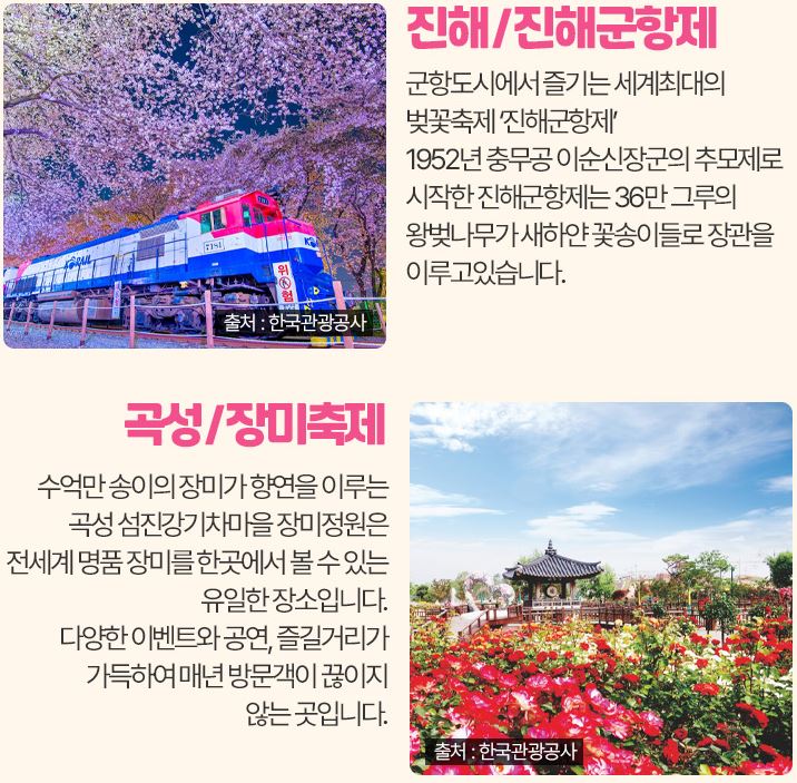 봄꽃축제