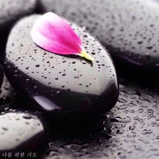 우리가 이미지