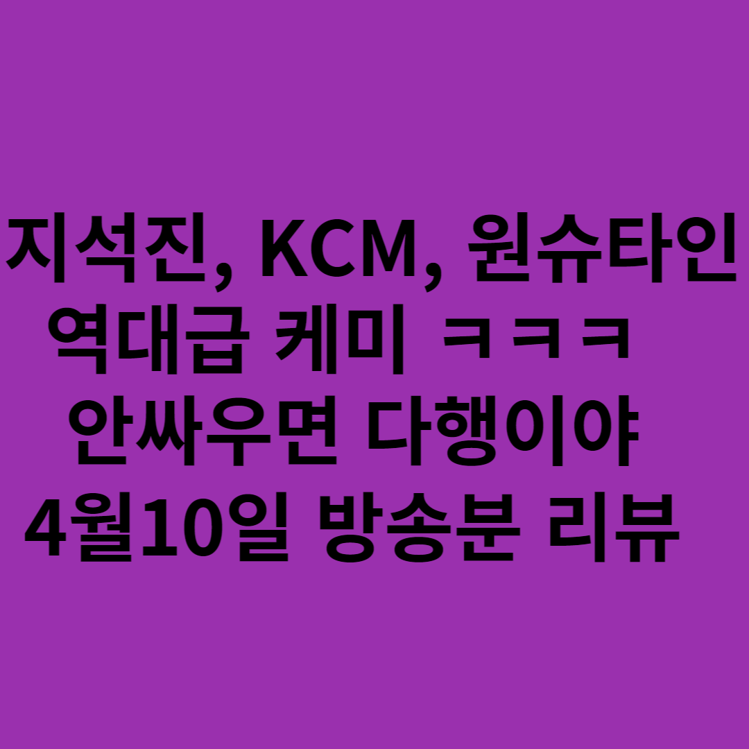안싸우면-다행이야-리뷰-예능-지석진-kcm-원슈타인