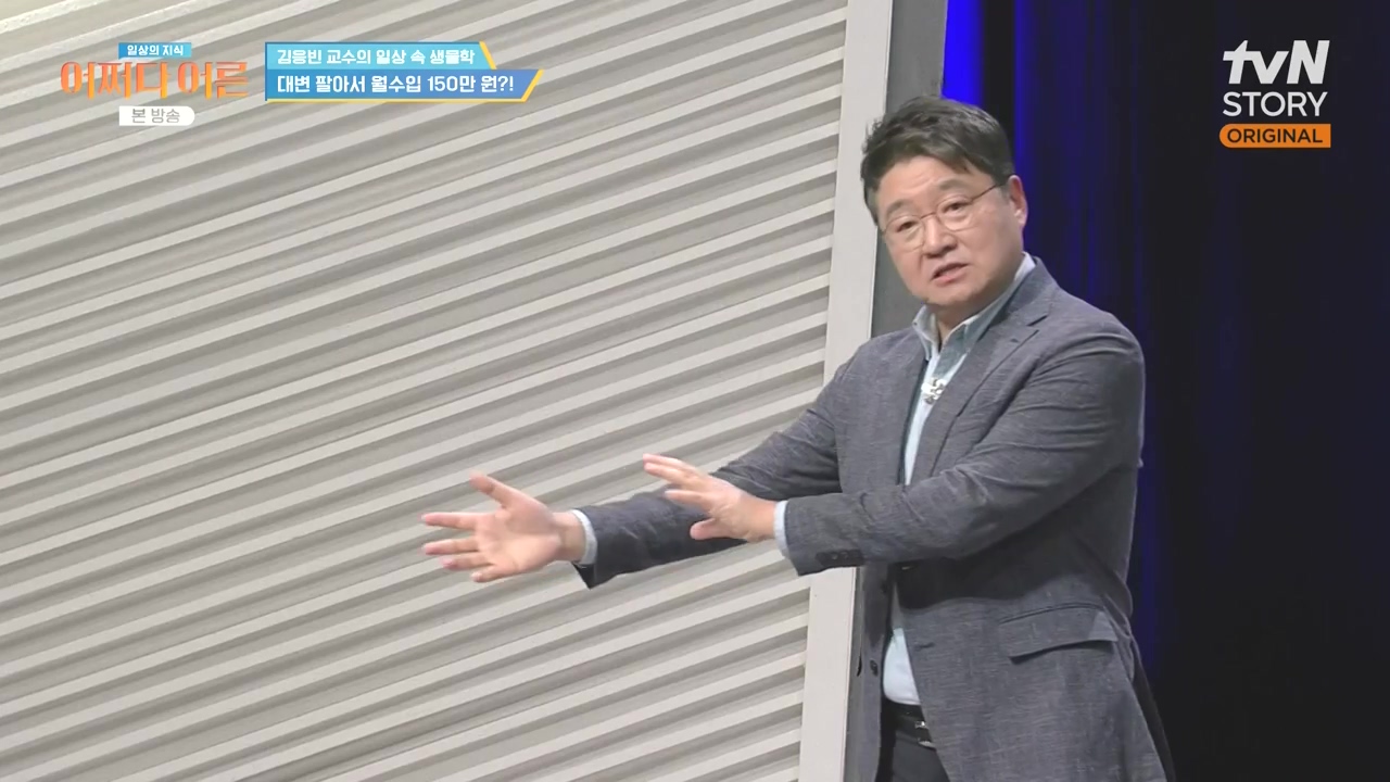 어쩌다 어른.E51.240410p-NEXT.mp4_20240410_170614.393.jpg