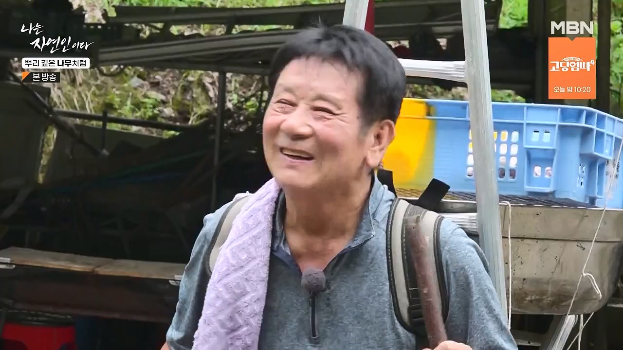 나는 자연인이다.E571.230914p-NEXT.mp4_20230914_202143.861.jpg