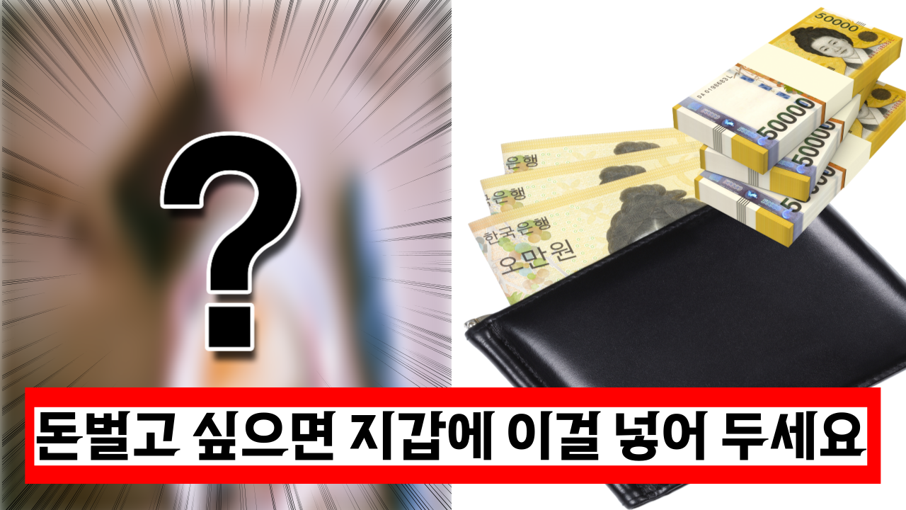  대박! 돈벌고 싶으면 지갑에 이것 꼭 넣고 다니세요