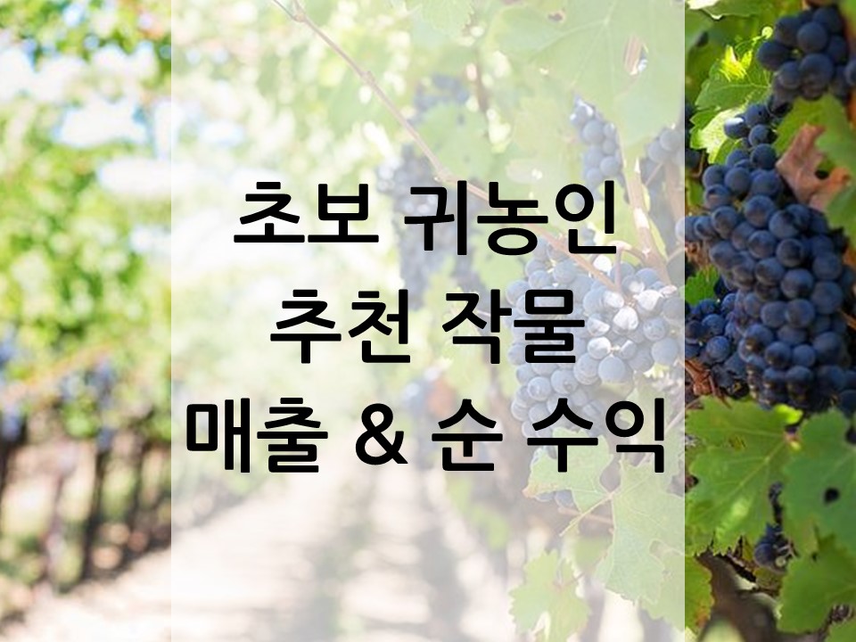 초보 귀농인 추천 작물 썸네일