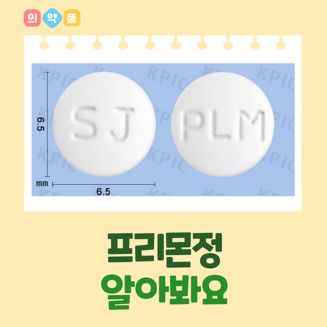 프리몬 이미지