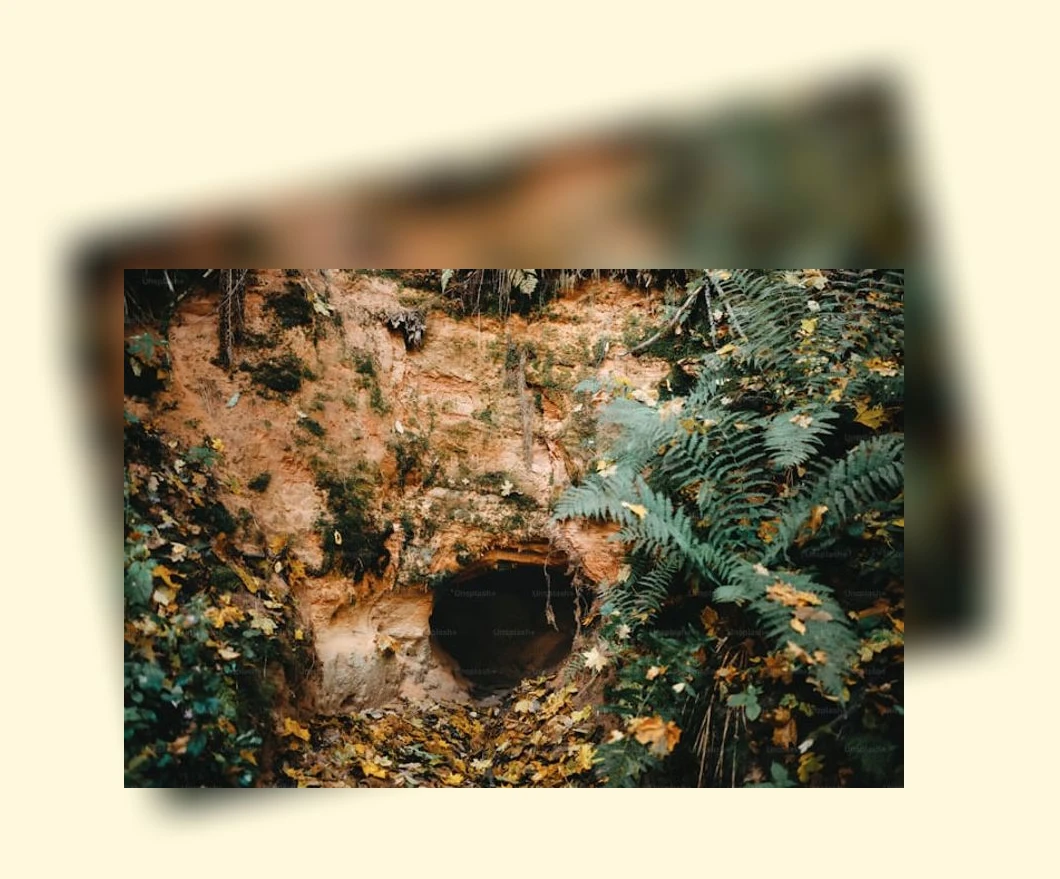 로케이션 탐색_3_subsection