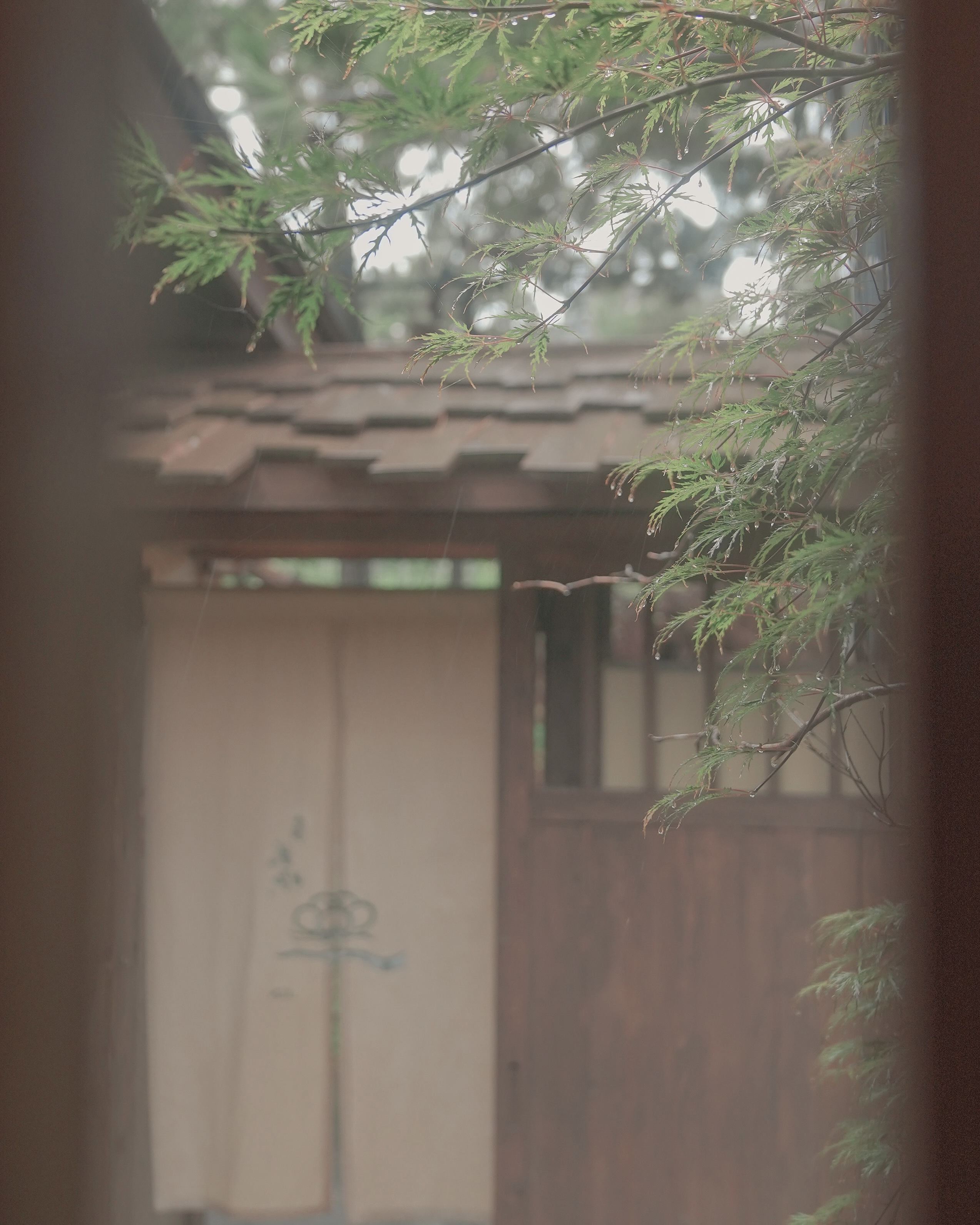  부산카페, 심미안