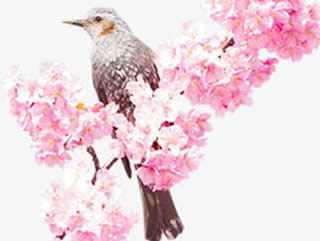 三月のドドイツ 유현의집 有炫之家