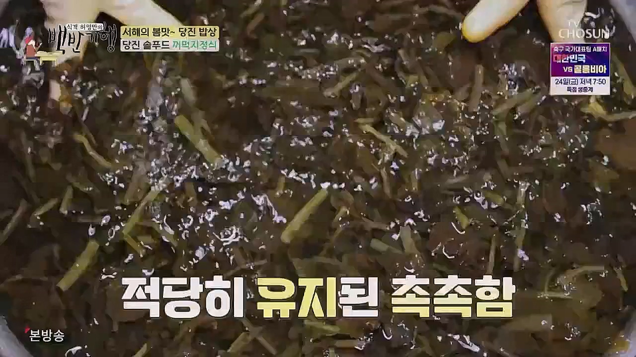 식객 허영만의 백반기행.E193.230318p.WANNA.mp4_20230318_173122.118.jpg