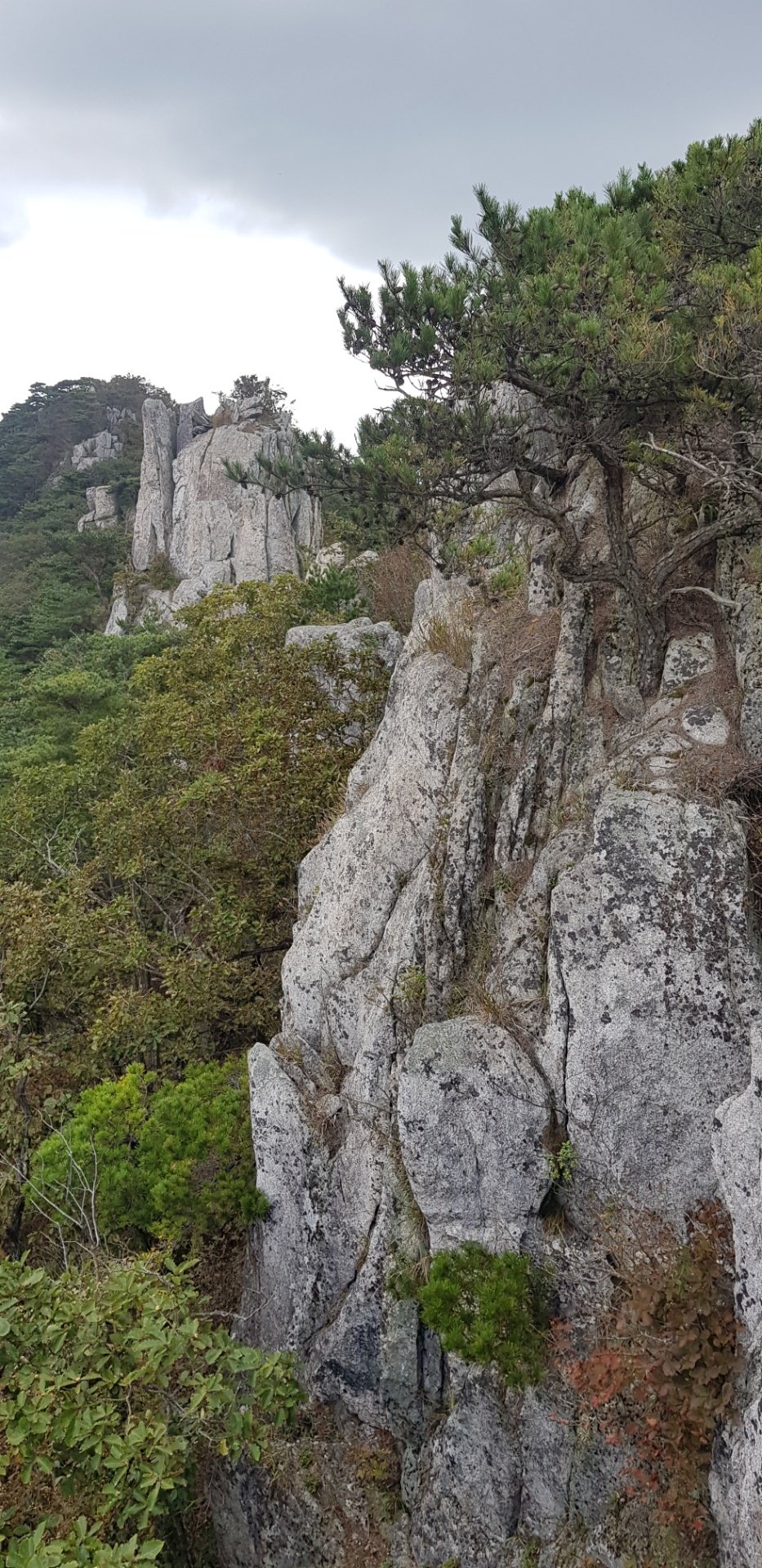 대구 영천 팔공산