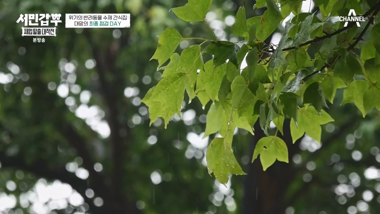 서민갑부 폐업 탈출 대작전.E12.231008p-NEXT.mp4_20231008_150107.358.jpg