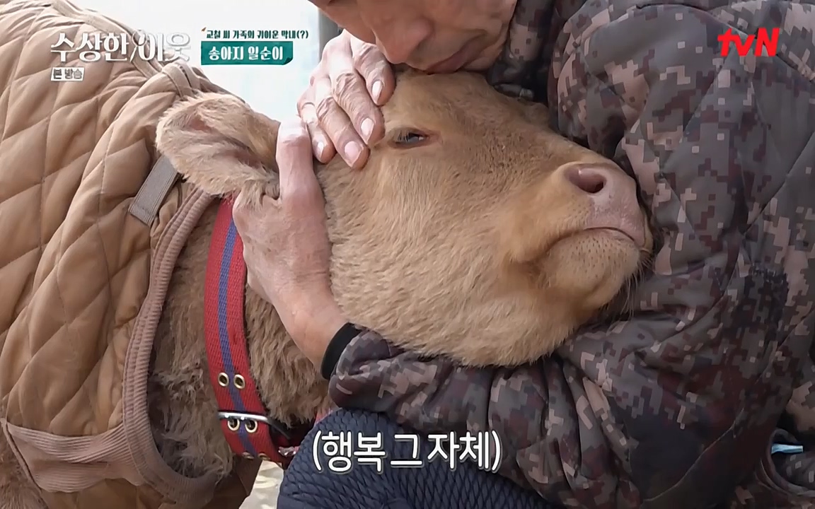 수상한 이웃.E03.220415p-NEXT.mp4_20220416_184246.793.jpg