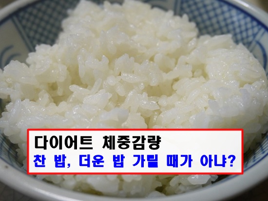 밥 한 공기 사진으로 썸네일입니다.