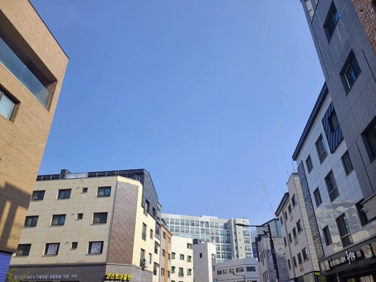 절차 알아보고 대처하기 전세금 돌려받기 반환 1