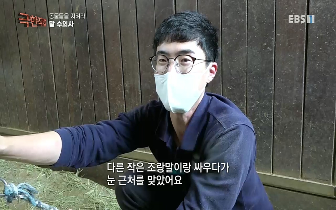 TV - 교육의 중심 EBS동물들을 지켜라, 수의사와 유기 동물 구조팀.mp4_20220913_200145.361.jpg