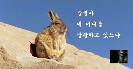  인간이 불완전하다는 이유?