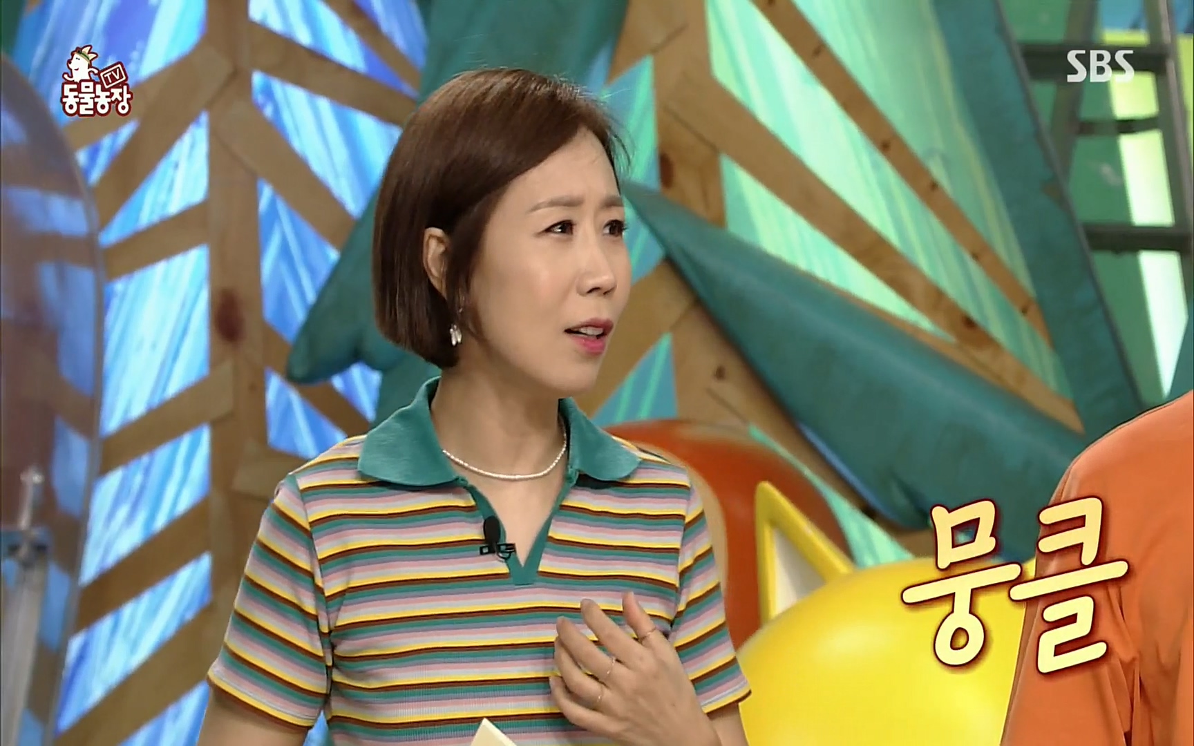 TV 동물농장.E1074.220619p.H264-F1RST.mp4_20220619_175844.144.jpg