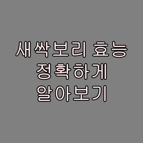  새싹보리 효능 정확하게 알고 먹어야죠