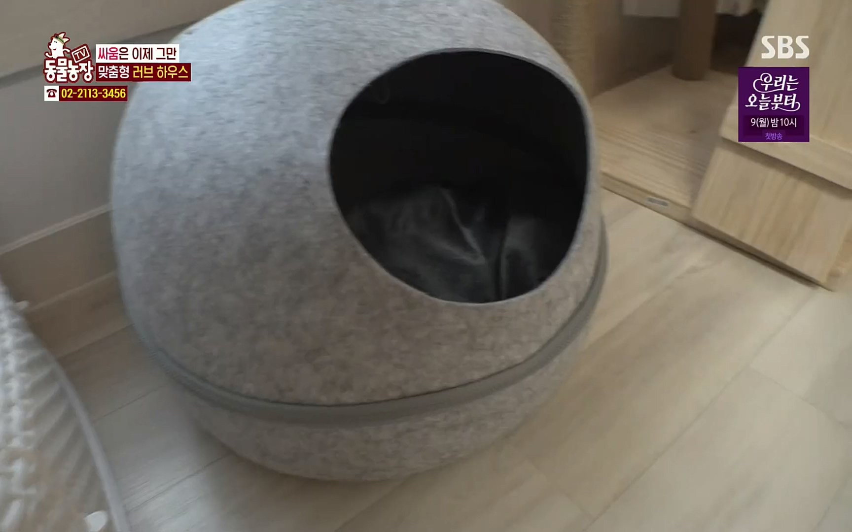 TV 동물농장.E1067.220501p.H264-F1RST.mp4_20220501_185012.479.jpg
