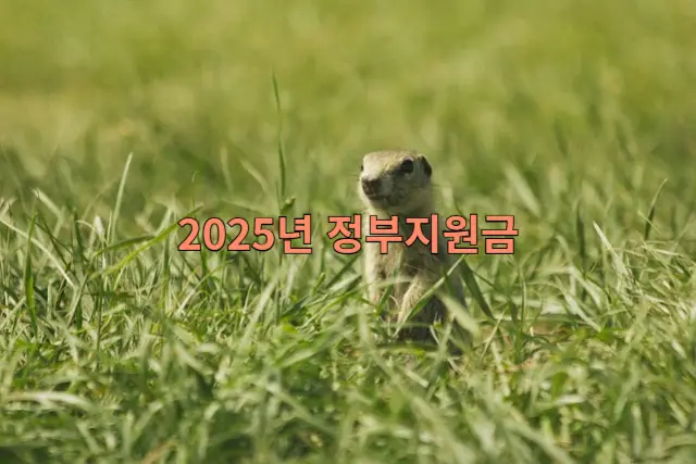 2025년 소상공인 지원금 관련 이미지
