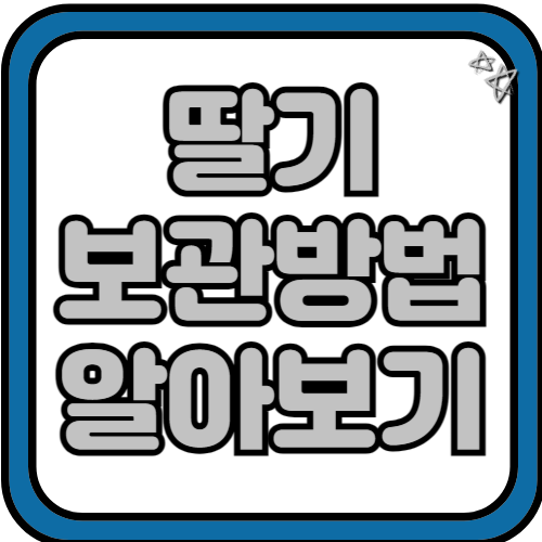 딸기 보관방법 효능 섭취량